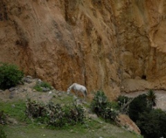 Paysages du Perou, Bolivie, Chili